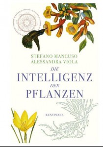 Pflanzen_klein